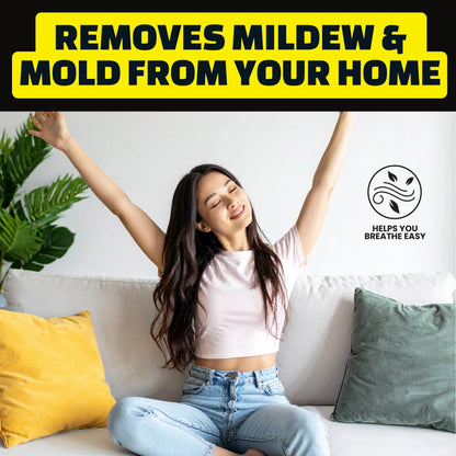 Heavy-Duty Industrial Stain Dissolver Spray, Instantly Remove Mold, Mildew & Tough Grime, Works Indoor & Outdoor for Brick, Driveway, Siding, Bathtubs, Fences, Ceilings, Sidewalks